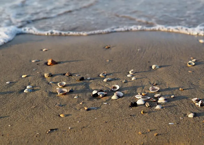 Апартаменти Relax And Fun By The Pool Бібіоне